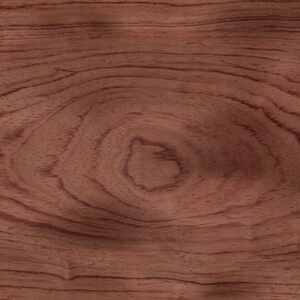 Bubinga - Compensati sud