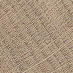 Rovere di testa